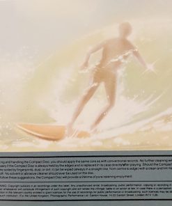 The Beach Boys-2