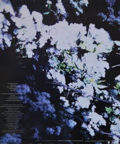 Momus-1