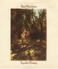 Van Morrison-0