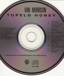 Van Morrison-2