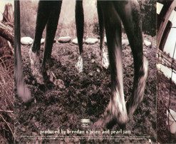 Pearl Jam-4