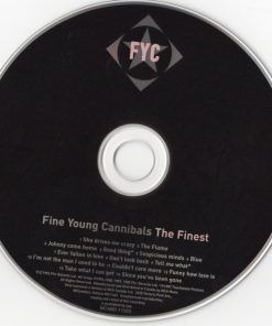 Fine Young Cannibals-3