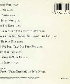 Lyle Lovett And His Large Band-1