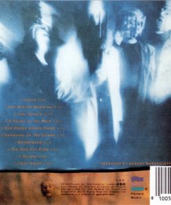 Shadowfax-1