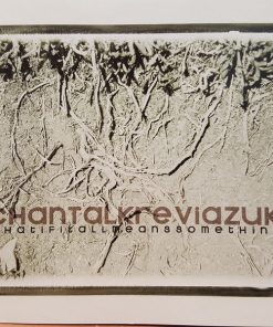 Chantal Kreviazuk-3