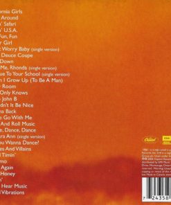 The Beach Boys-1
