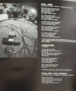 Gin Blossoms-3