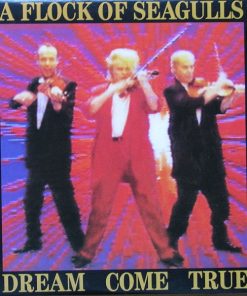 A Flock Of Seagulls-0
