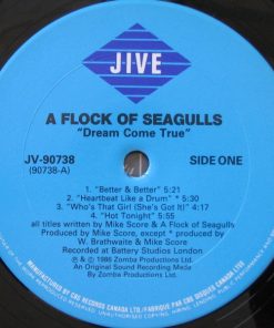 A Flock Of Seagulls-2
