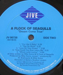 A Flock Of Seagulls-3