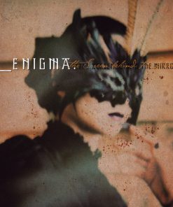 Enigma-0