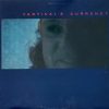 Kip Hanrahan-0