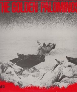 The Golden Palominos-0