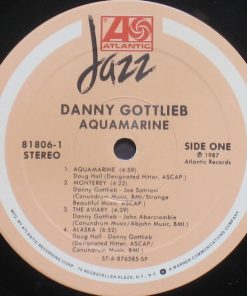 Danny Gottlieb-2