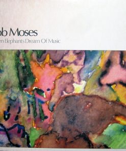 Bob Moses-0