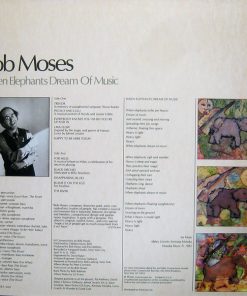 Bob Moses-1