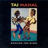 Taj Mahal-0