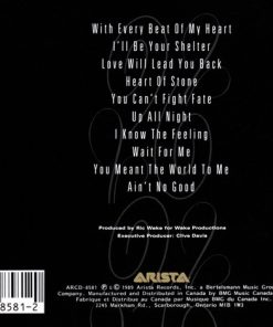 Taylor Dayne-2