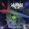 Neuraxis-0