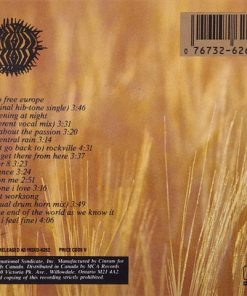 R.E.M.-1