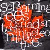 Screaming Trees-0