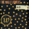 The Wallflowers-0