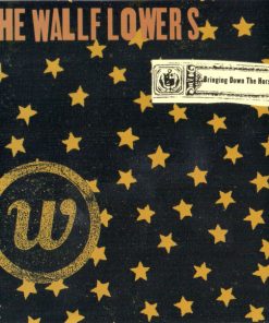 The Wallflowers-0