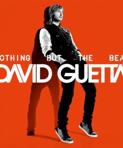 David Guetta-0