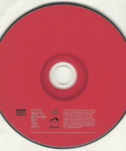 David Guetta-4