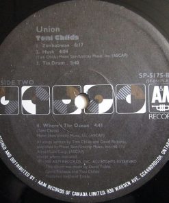 Toni Childs-3