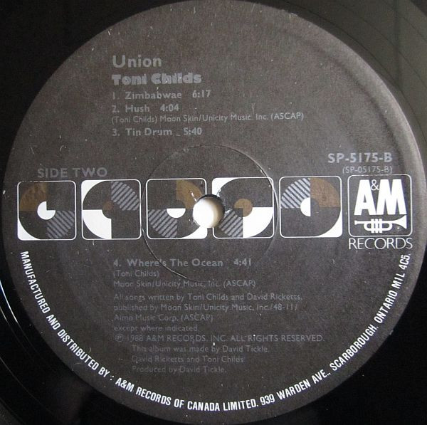 Toni Childs-3