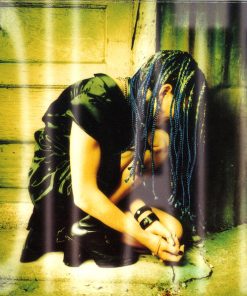 Ani DiFranco-0