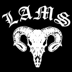L.A.M.S.-0