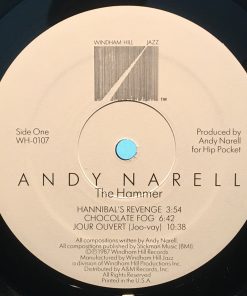 Andy Narell-4