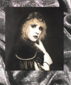 Stevie Nicks-2