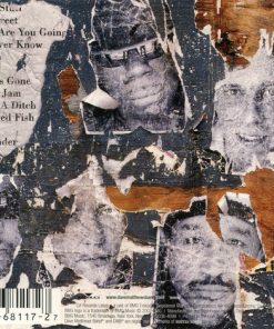 Dave Matthews Band-2