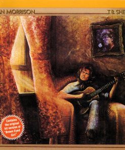 Van Morrison-0