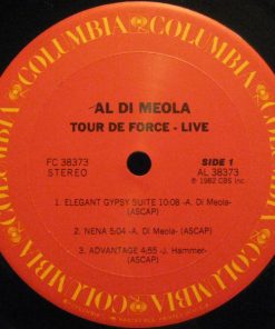 Al Di Meola-2
