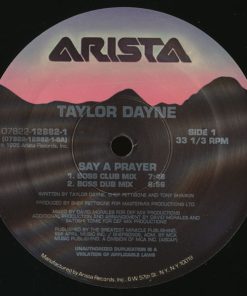 Taylor Dayne-2