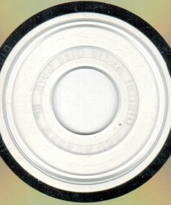 Suzanne Vega-3