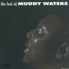 Muddy Waters-0