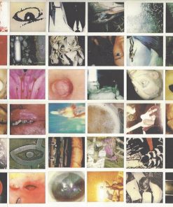 Pearl Jam-1