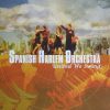 Spanish Harlem Orchestra-0