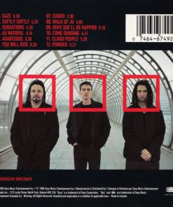 Sweetback-2