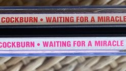 Bruce Cockburn-3