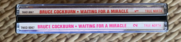 Bruce Cockburn-3