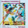 The Fabulous Thunderbirds-0