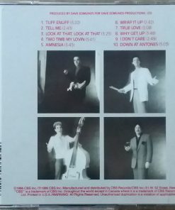 The Fabulous Thunderbirds-1