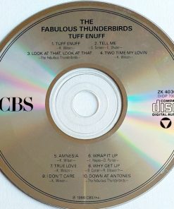 The Fabulous Thunderbirds-2