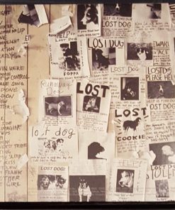 Pearl Jam-1